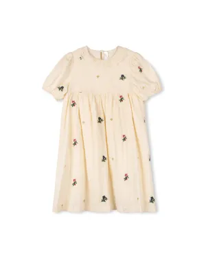 Alveron Embroidered Wasted Dress