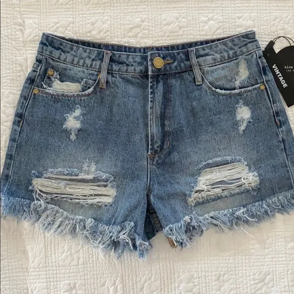 Articles of Society Ripped High Rise Jean Shorts