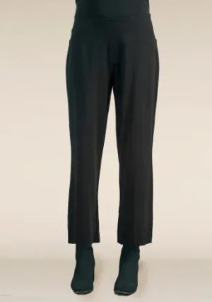 Core Travel Solid Flood Pant