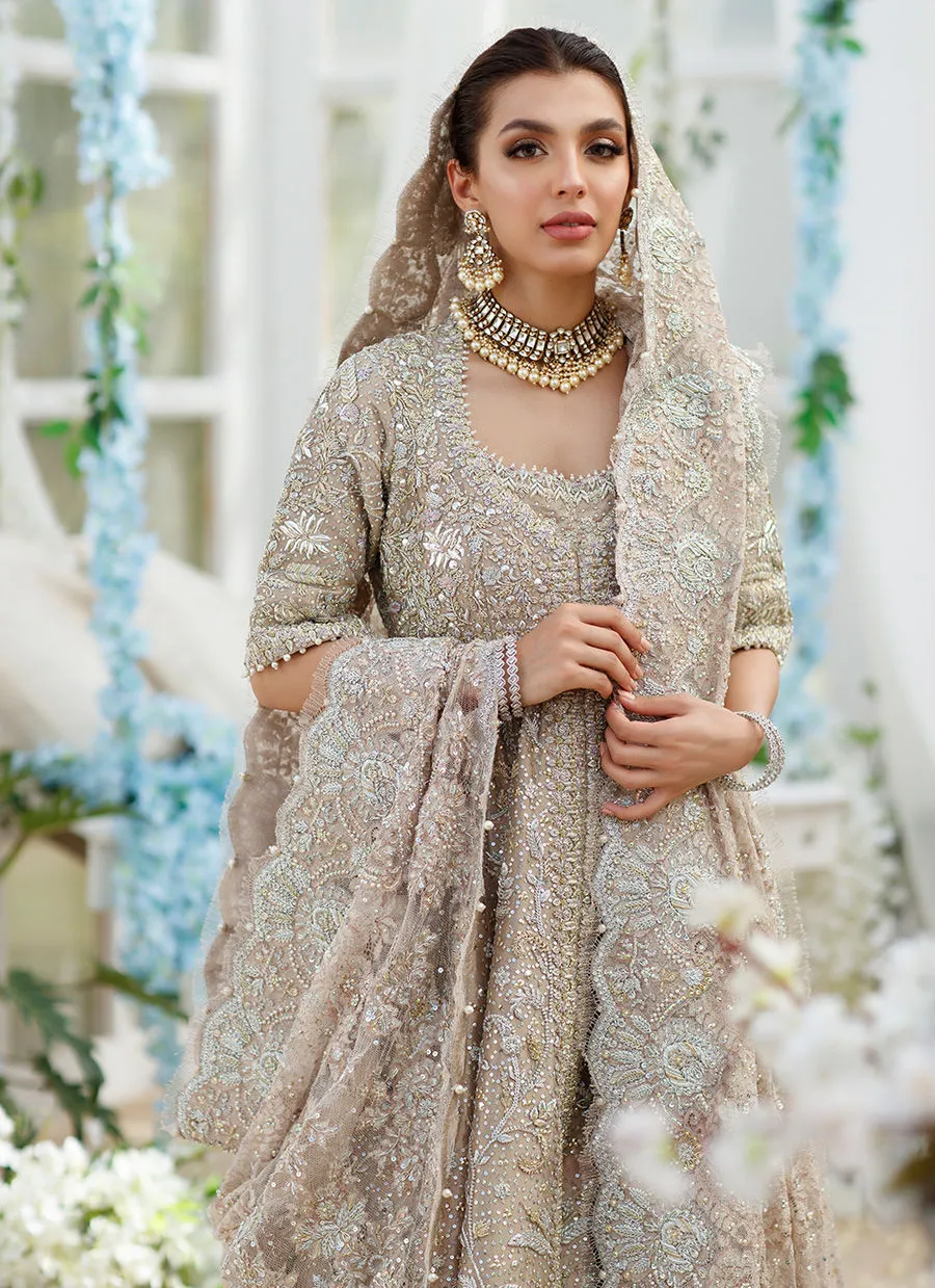 Embroidered Bridal Pakistani Dress for Indian Bridal Wear