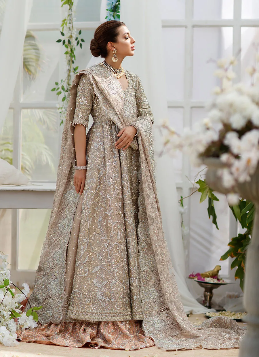 Embroidered Bridal Pakistani Dress for Indian Bridal Wear