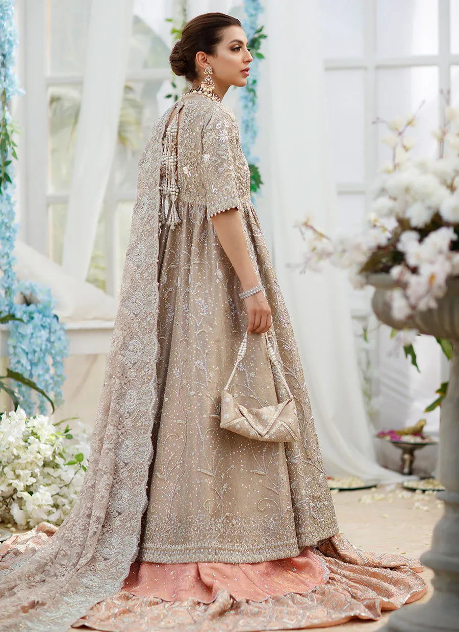 Embroidered Bridal Pakistani Dress for Indian Bridal Wear