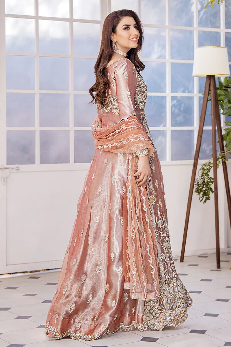 Embroidered Pishwas Dupatta Pakistani Wedding Dress