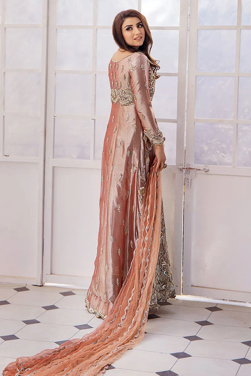 Embroidered Pishwas Dupatta Pakistani Wedding Dress
