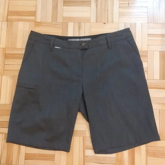 Icebreaker merino wool blend shorts size 29