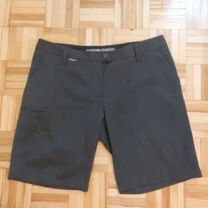 Icebreaker merino wool blend shorts size 29