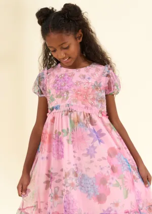 Luisa Pink Embroidered Yolk Mesh Dress