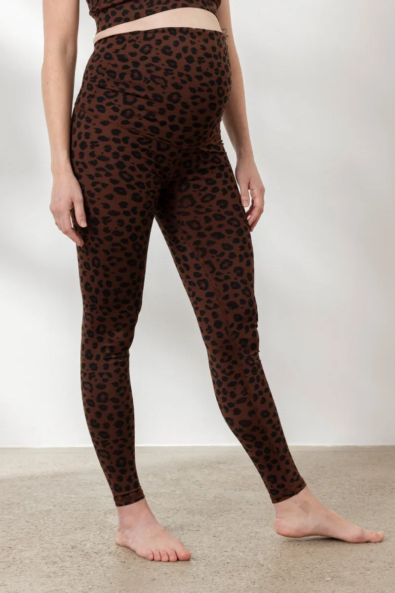 Maternity Leggings Leo Chocolate