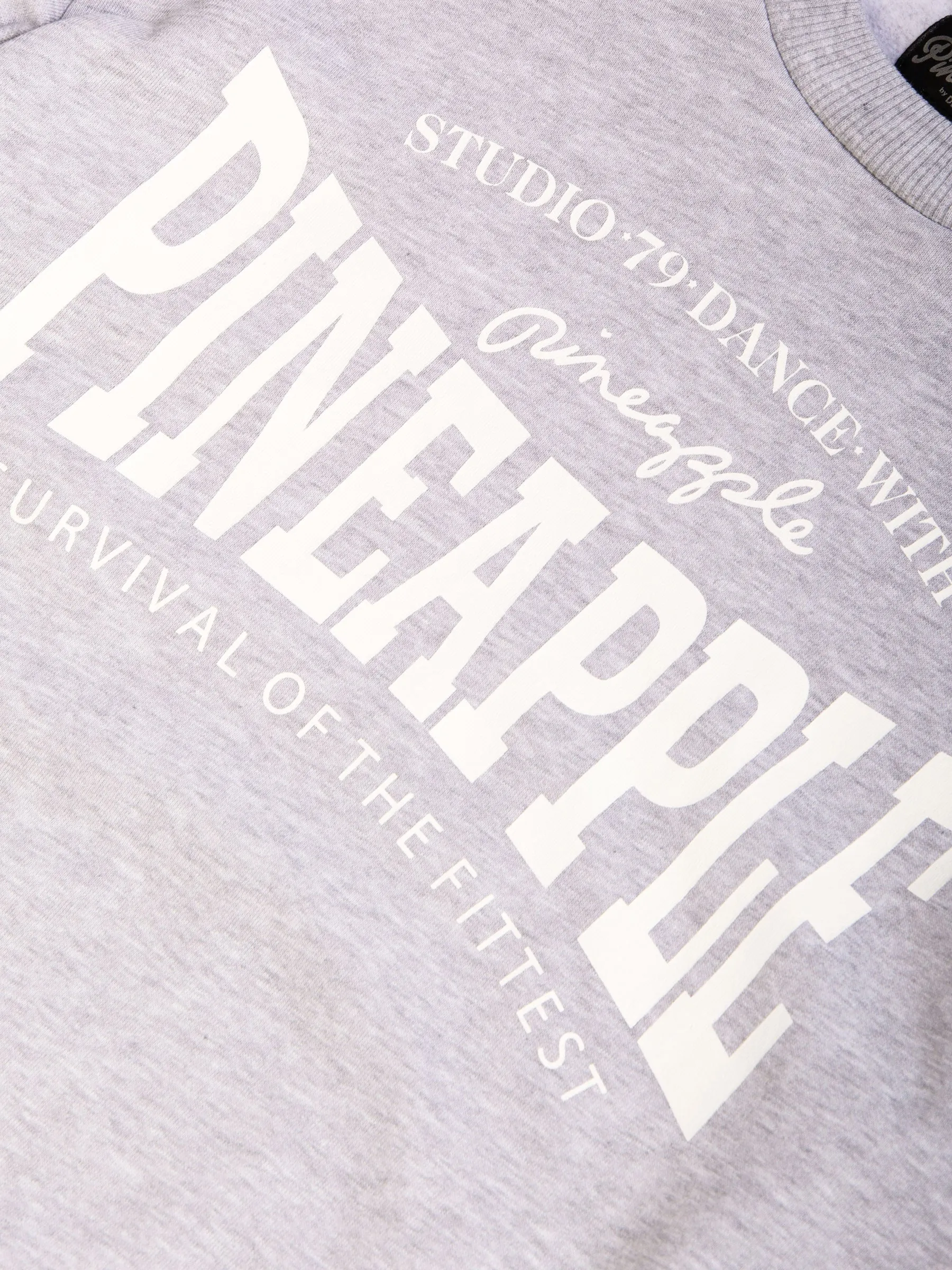 Pineapple Unisex Sweat Top