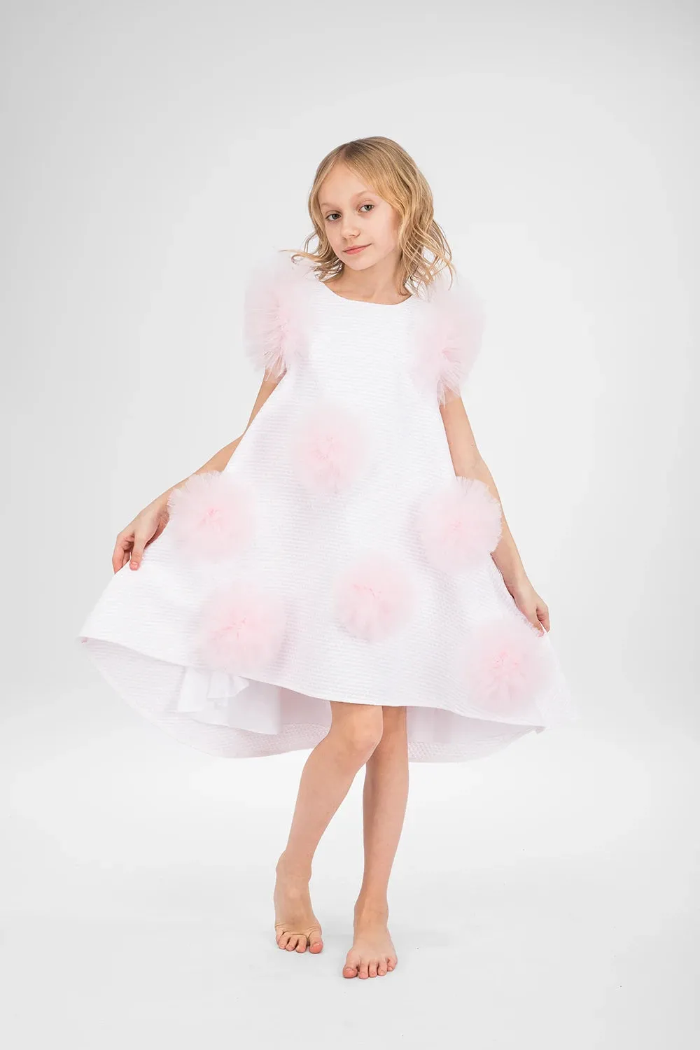 Pomrosette Dress