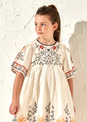 Reyna Embroidered Swing Dress