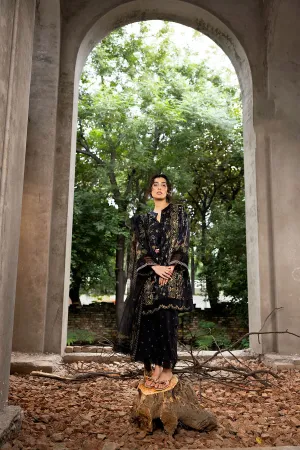SOBIA NAZIR | FALL EDIT '24 | 2B